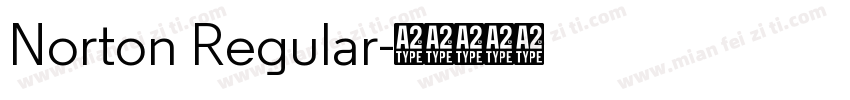 Norton Regular字体转换